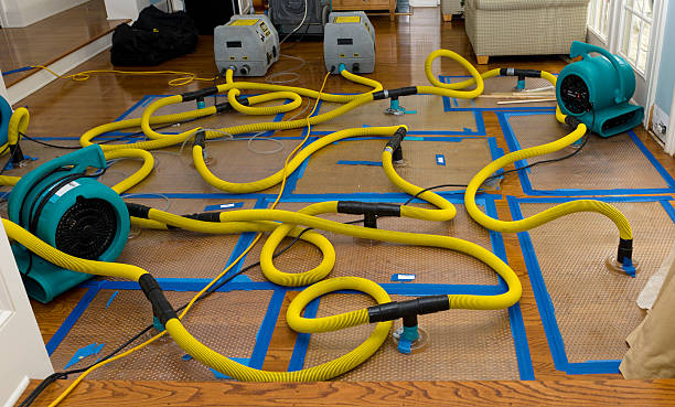 Professional Storm Water Damage Restoration technician working in Westphalia, IA